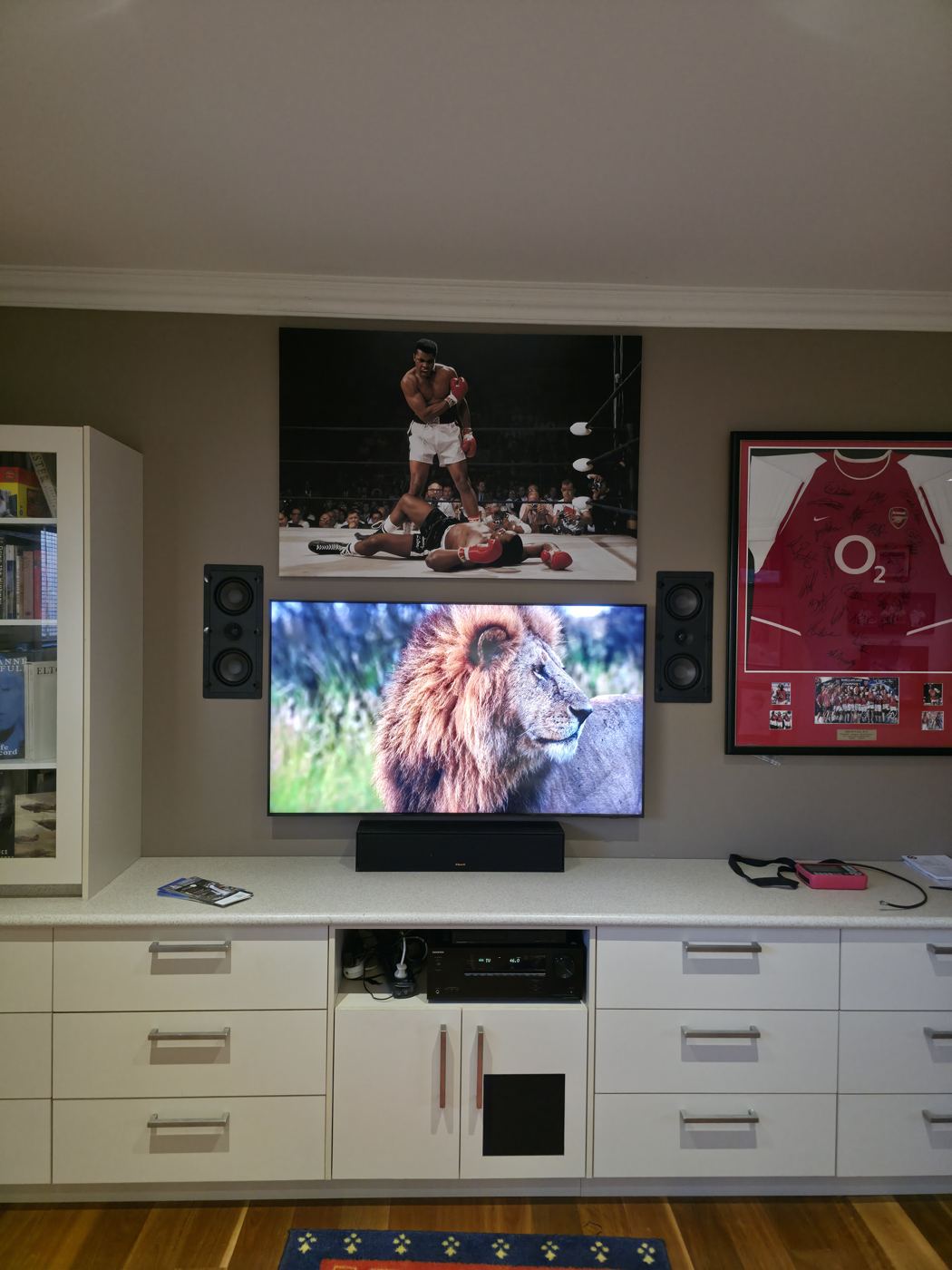 TV Mounts #49